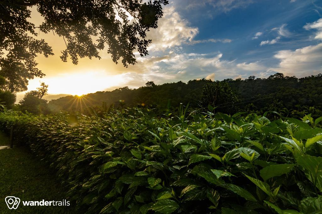 Whispering Willows Gudalur  Εξωτερικό φωτογραφία